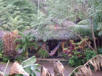 Merida 2*