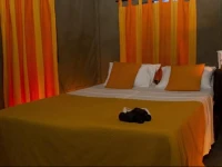 Mahoora Tented Safari Camp - Wasgamuwa 