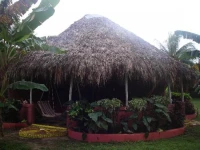 Paraiso Club 2*