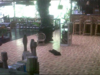 Onongs Palace Resort