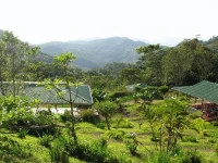 Finca Esperanza Verde 2*