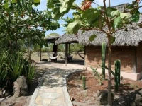 Los Cardones 2*