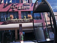 Lizon Curitiba 4*