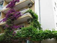 Villa Dana 