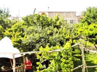 Mush comunity Street 10 Hostel 2*