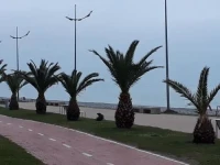 Orbi Plaza Batumi 3*