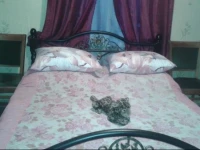 Emmas Guest House 4*