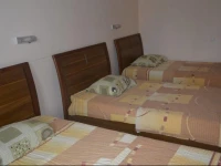 Botanical Garden Hostel  
