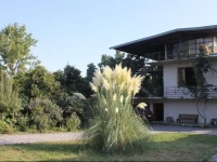 In The Heart Of Kvareli 3*