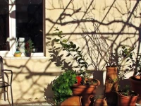 Gerda Guest House 4*