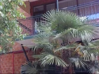 Hirmas Hotel 2*