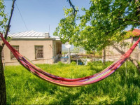 Guesthouse Telavi