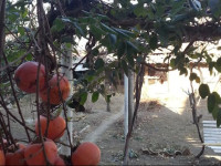 Ekaterine Holiday Home