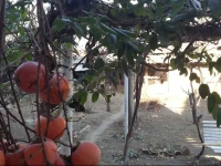 Ekaterine Holiday Home 3*