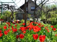 Milorava's Guest House &amp; Wine Cellar 3*