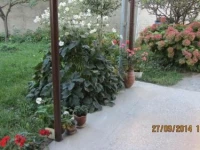 Tinikos Guest House 3*