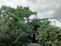 Zugdidi House