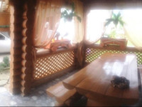 Cottage in Yasinya