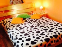 Bayou Bay Hostel 4*