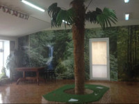 Tennis House