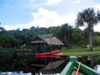 Timberhead Rain Forest Resort 