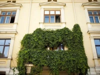 Europe Hostel Lviv / Хостел Европа 2*