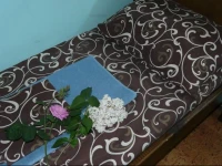 Ulei Hostel Mykolaiv 3*