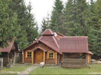 Zarinok