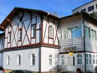 Villa Viktoriya Hotel Truskavets / Вилла Виктория 3*