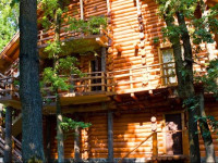 Praha Wood House