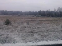 Agrousadba Lesnaya Skazka / Усадьба "Лесная сказка" 