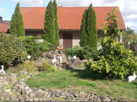 Alexandr Holiday Home