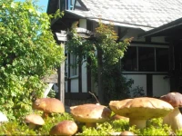 Gasienda Guest House 