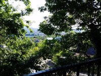 Emily Guest House