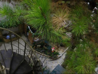 Corvette Guest House
