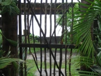 Tekuani Kal 