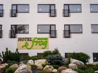 Princess Frog Hotel