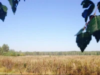 Эко-дом Балашиха 4*