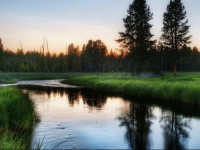 Berezka guest house