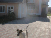 Vacation house in Yasnaya Polyana