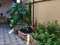 Vera Guest House