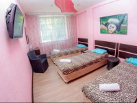 Panda Mini-hotel