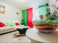 Oliva Hostel