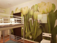 Vhostele Hostel 