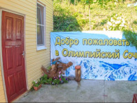 Kit Guest House