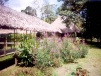 Cumaceba Lodge