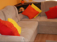 Orange Hostel