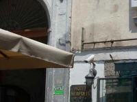 Neapolis 3*
