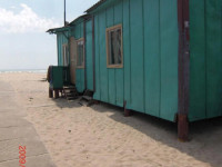 Nezabudka