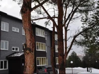 Гринпарк отель 3*
